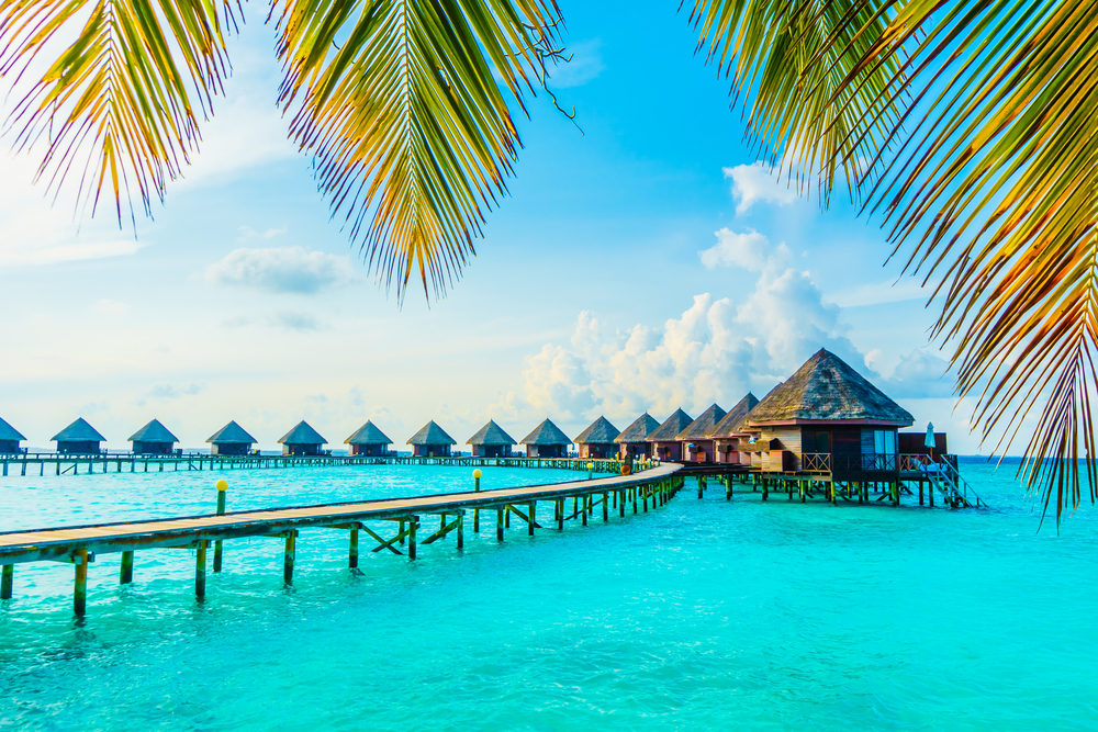 0maldives[1]